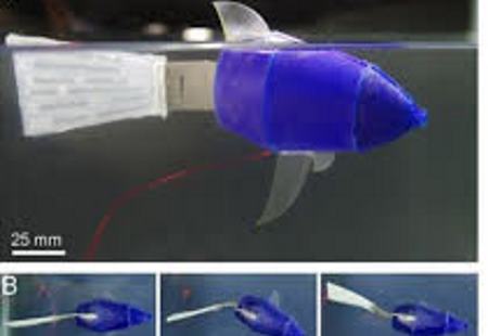 ربات‌های انعطاف‌پذیر