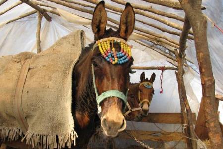 پیش از برجام