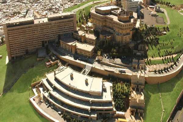 دانشگاه شیراز