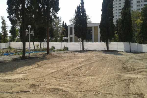 قطع درختان در دانشگاه امام صادق ع