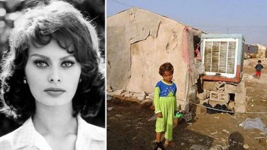 حضرت آیت الله علم الهدی! جسارتا بی سلیقگی کردید