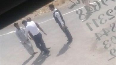 افغانستانی ها را باید زد!