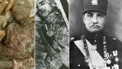 «مومیایی» منسوب به رضا شاه شیادی است