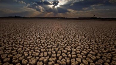 خشکسالی امسال بی سابقه است