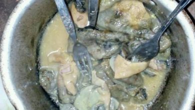 گوشت گربه می‌خورند!
