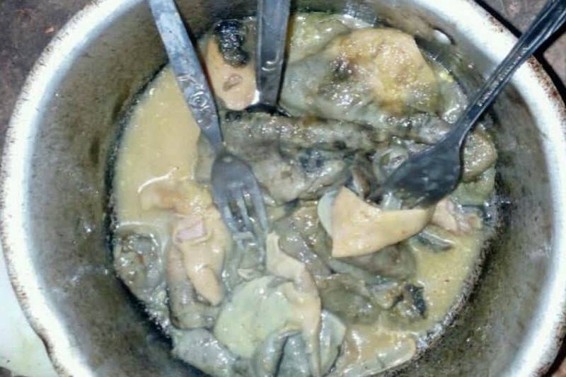 گوشت گربه می‌خورند!