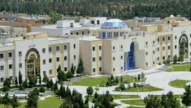 دانشگاه دامغان