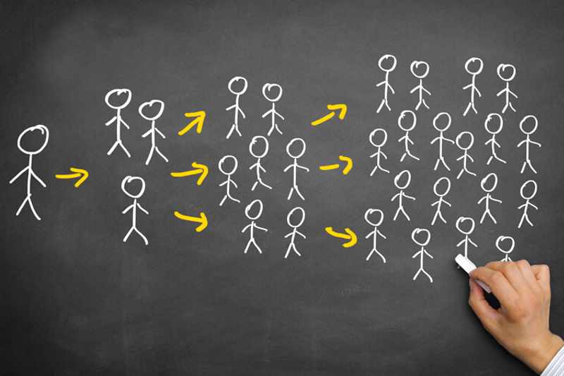 بازاریابی شبکه ای