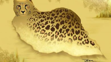 کارتون به مناسبت حضور تیم ملی ایران در جام جهانی | این بیشه گمان مبر که خالیست...