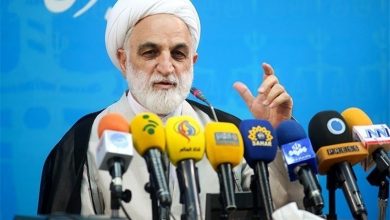 محسنی اژه ای