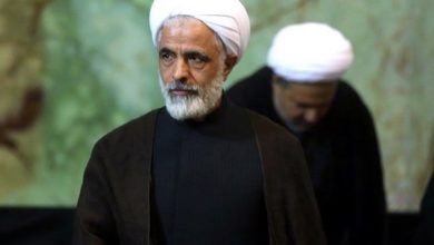 مجید انصاری