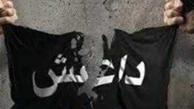 داعش