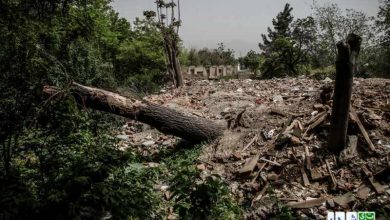 میزان تخریب باغات تهران در یک دههی گذشته