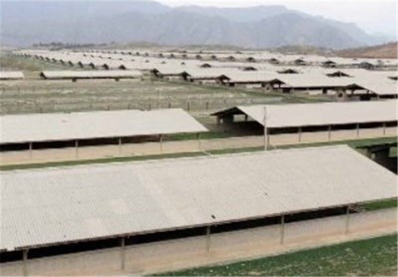 سه خبر درباره‌ی کشت و صنعت مغان