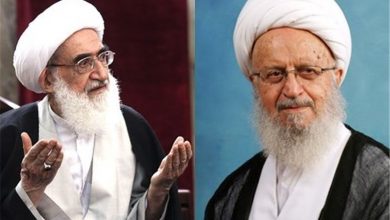 آیت الله مکارم - آیت الله نوری همدانی