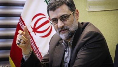 امیرحسین قاضی زاده هاشمی