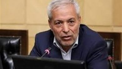 محمود میرلوحی