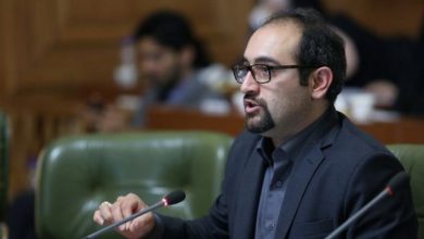 حجت نظری