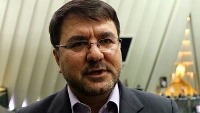 توضیح نماینده مجلس درمورد همراهی با وزیر در اوپک