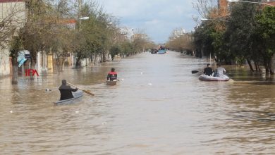 سیل گلستان