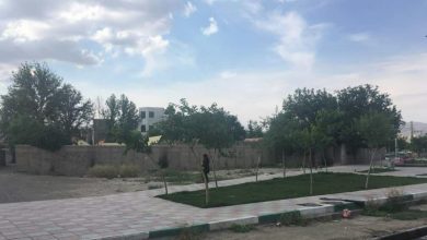 یک گزارش: متجاوز است اما آزاد و رها