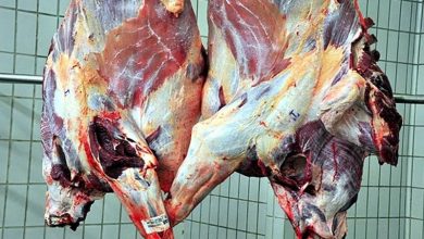 درخواست دبیر انجمن واردکنندگان گوشت از نهادهای نظارتی