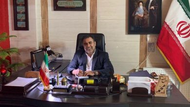 حرف‌های عجیب مرد حاشیه ساز شورای شهر