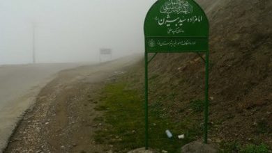 پاسخ اعضای فراکسیون امامزادگان به انتقادات