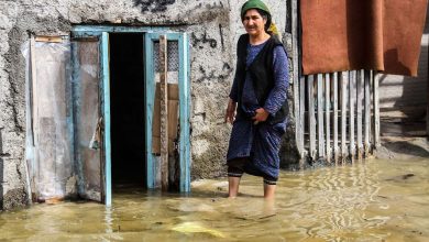 مساله‌ای در سیل گلستان: لاشه حیوانات و فضولات انسانی