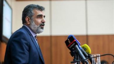 کمالوندی سازمان انرژی اتمی
