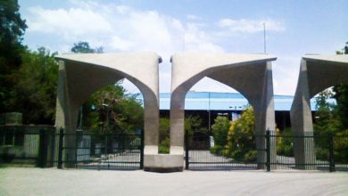 دانشگاه تهران