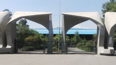 دانشگاه تهران