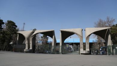 دانشگاه تهران