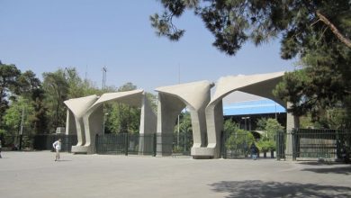 دانشگاه تهران