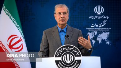 علی ربیعی سخنگوی دولت