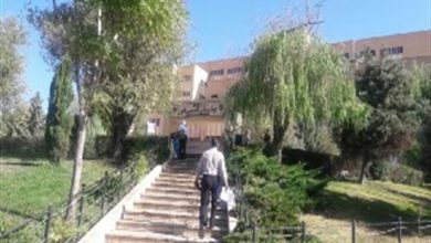 سلاخی یا زایمان