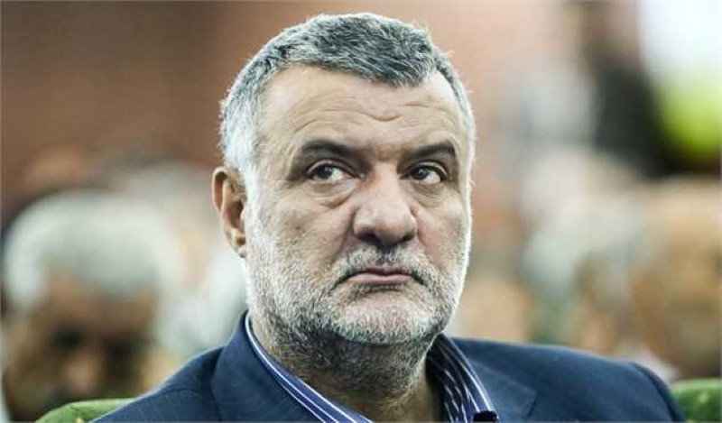 محمود حجتی