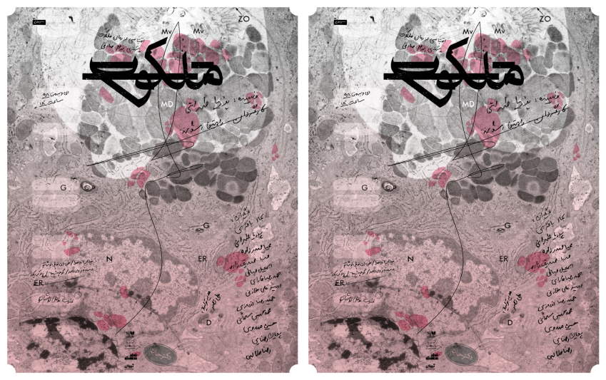 عمارت نمایشی نوفل لوشاتو میزبان ملکوت می‌شود