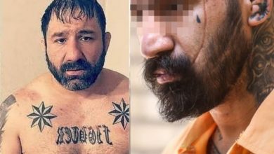 آیا حمله به هانی کرده به قتل وحید مرادی ارتباط دارند؟