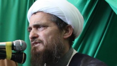آیت الله عباس تبریزیان: خانم هلندی به من گفت اتفاقا شوهر ندارم!
