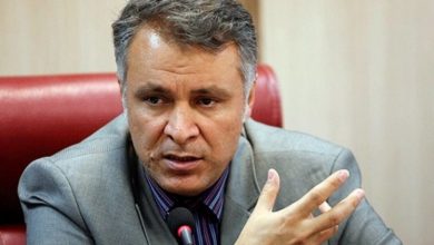 محمد فاضلی