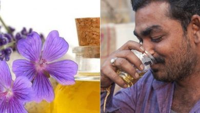 از گاوهای درمانگر تا روغن بنفشه!
