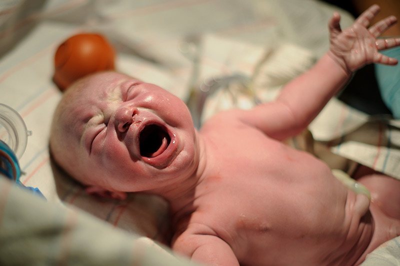 همهی ما پرسیدهایم: بچهها چطور به دنیا میآیند؟