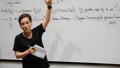 مریم میرزاخانی، مریم میرزاخانی است