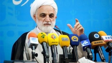 محسنی اژه ای