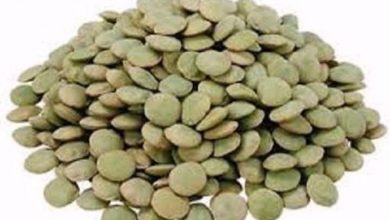 داستان پر حاشیه‌ی فراکسیون سیر و عدس