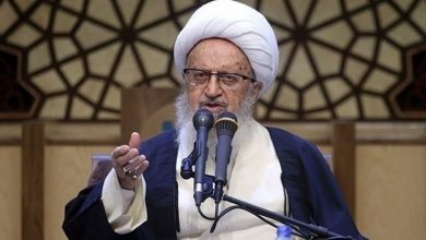 مکارم شیرازی - آیت الله مکارم شیرازی