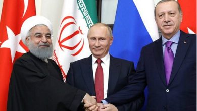 اجلاس فوق العاده روحانی، اردوغان و پوتین
