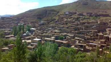 جوانان تحصیل کرده، کنشگران مهم توسعه روستاها