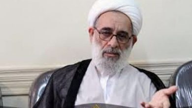 مدیر سابق حوزه: مردم نباید دچار جوزدگی شوند